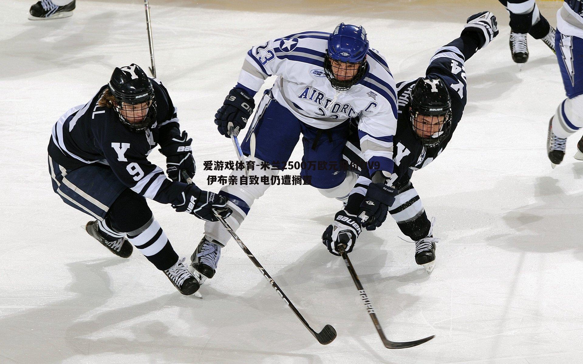 米兰2500万欧元报价DV9 伊布亲自致电仍遭搁置